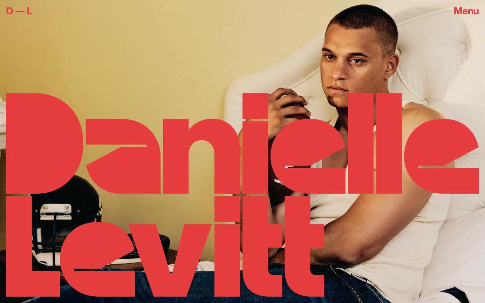 Screenshot of Daniellelevitt