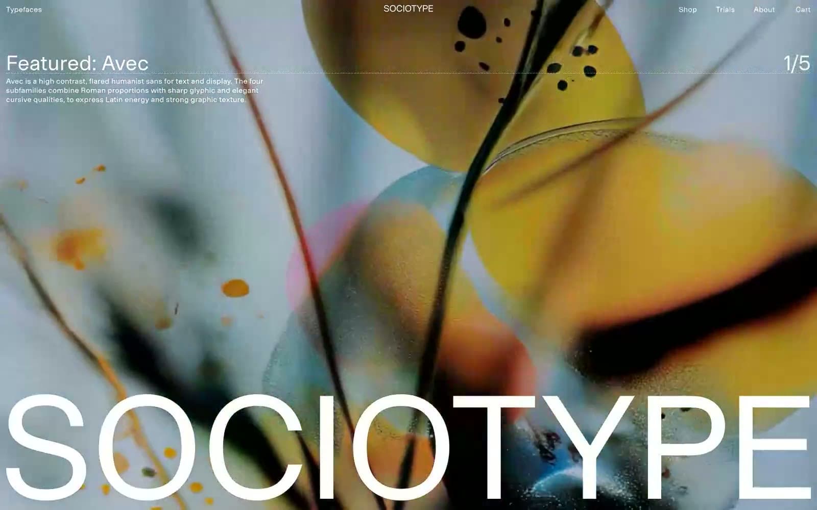 Screenshot of Sociotype