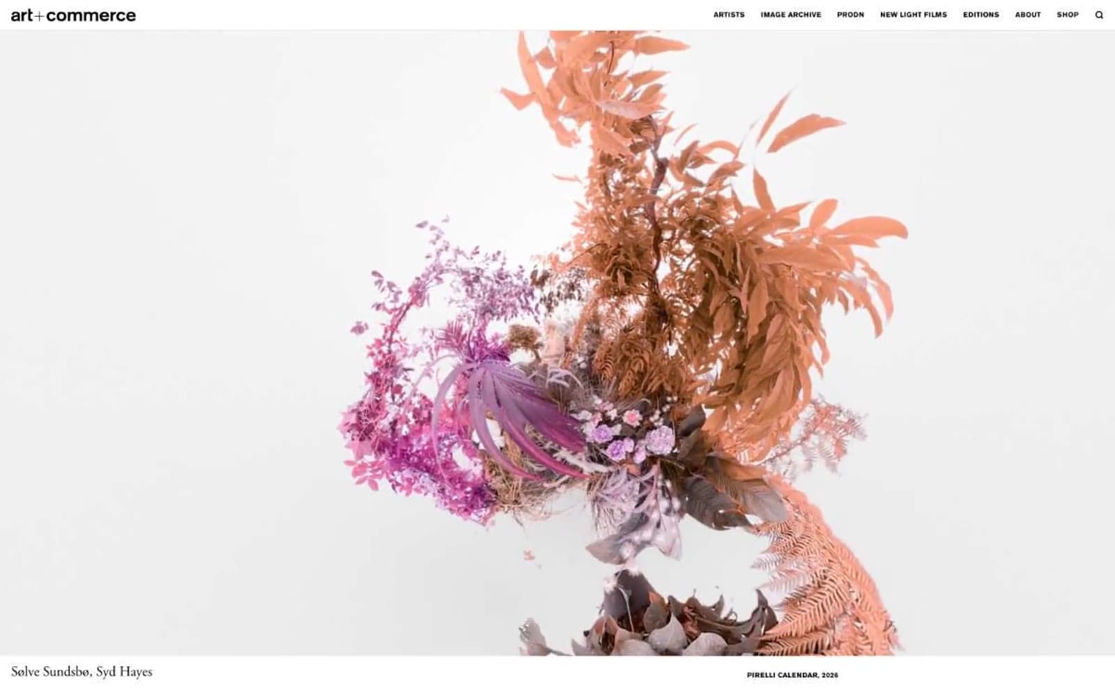 Screenshot of Artandcommerce
