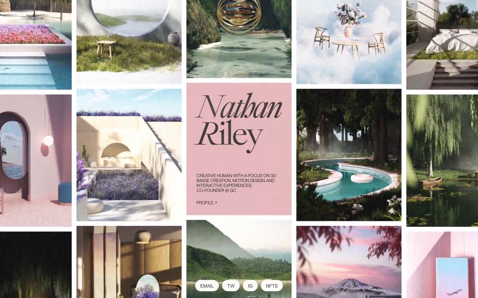 Screenshot of Nathan Riley