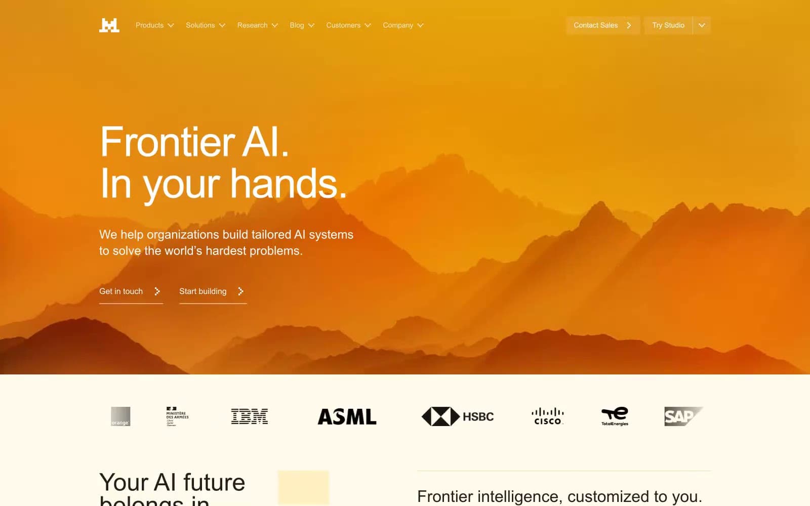 Screenshot of Frontier AI LLMs