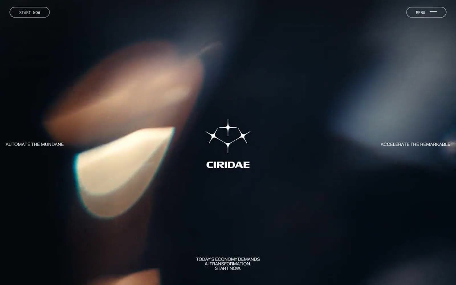 Screenshot of Ciridae