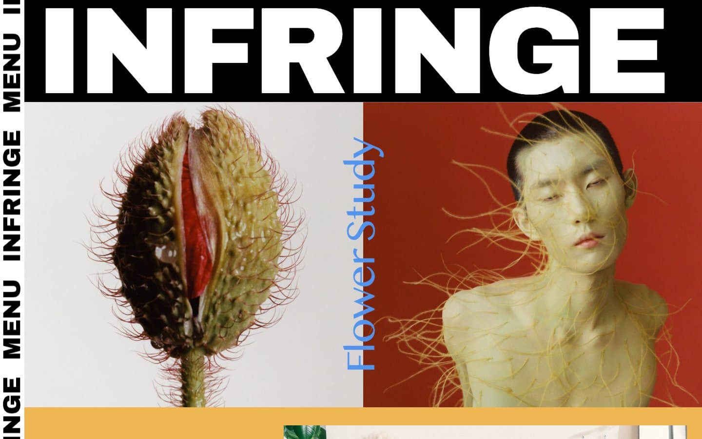 Screenshot of INFRINGE
