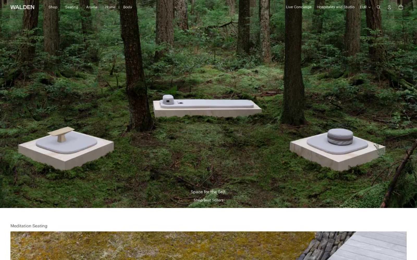 Screenshot of Walden