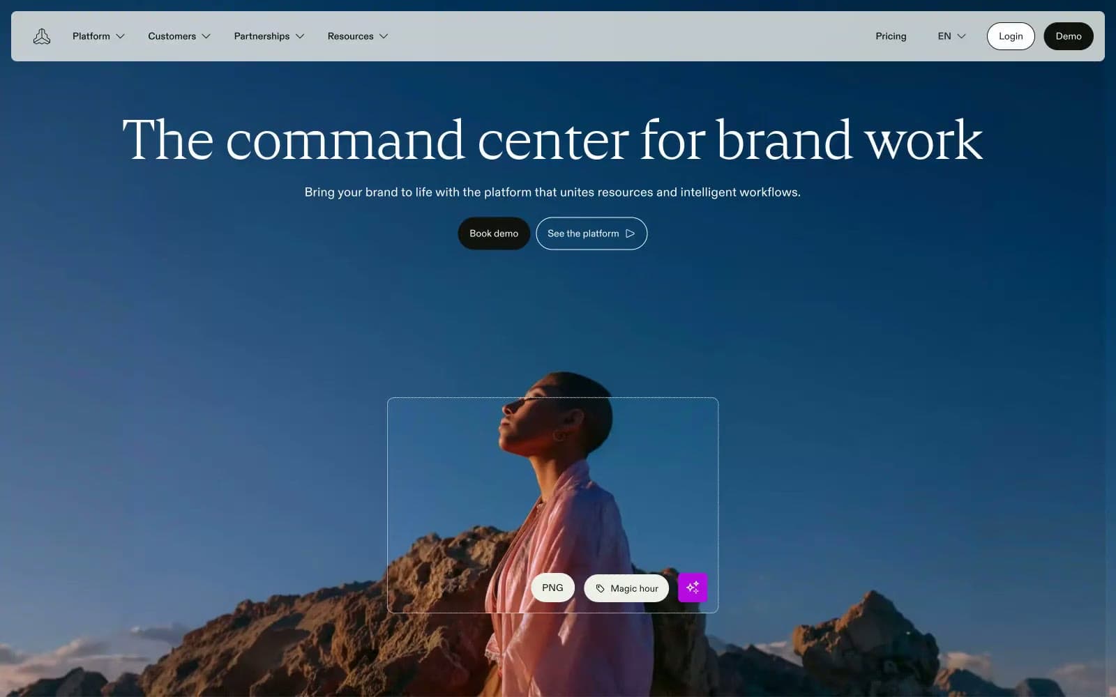Screenshot of Frontify