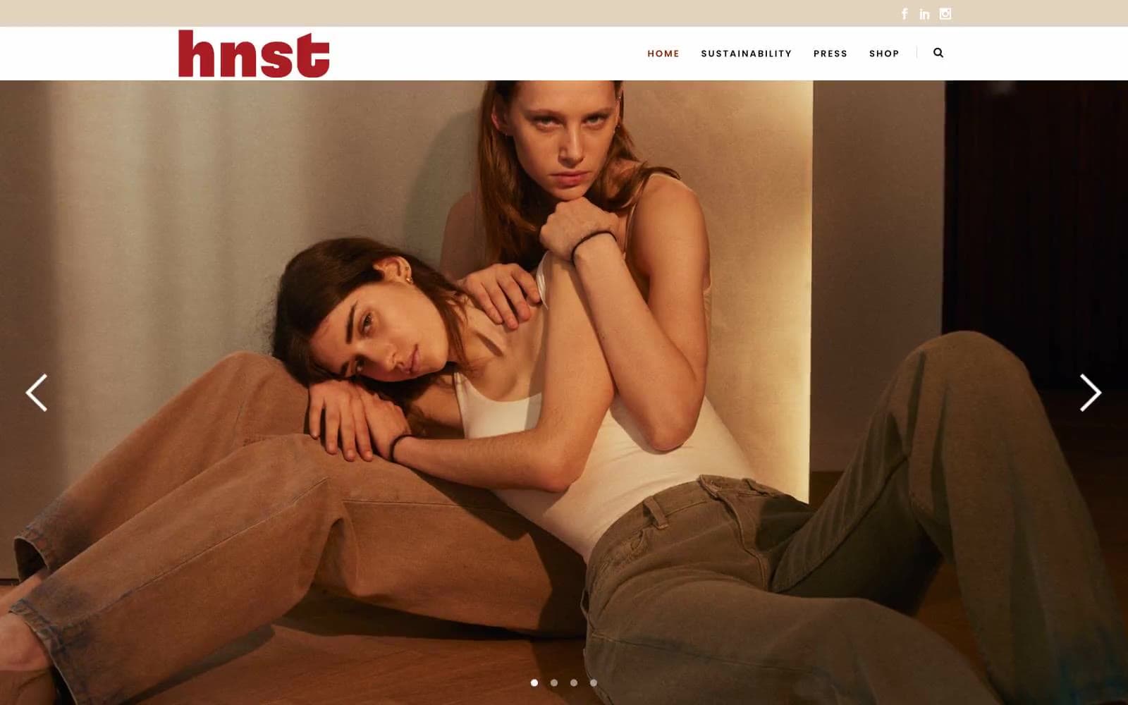 Screenshot of HNST Studio