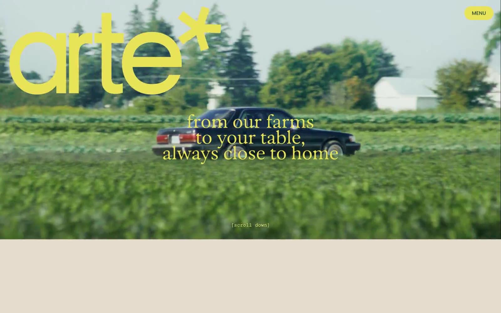 Screenshot of arte*
